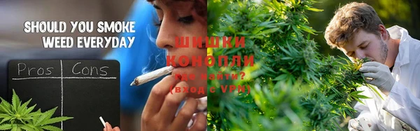ПСИЛОЦИБИНОВЫЕ ГРИБЫ Белокуриха