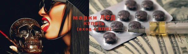 ПСИЛОЦИБИНОВЫЕ ГРИБЫ Белокуриха
