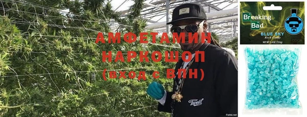твердый Богданович