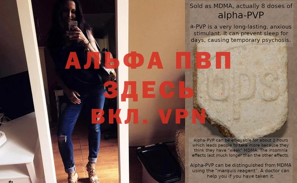 ПСИЛОЦИБИНОВЫЕ ГРИБЫ Белокуриха